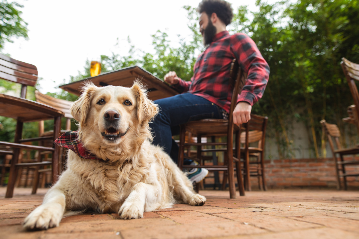 When Your Dog Bites Someone at a Brewery