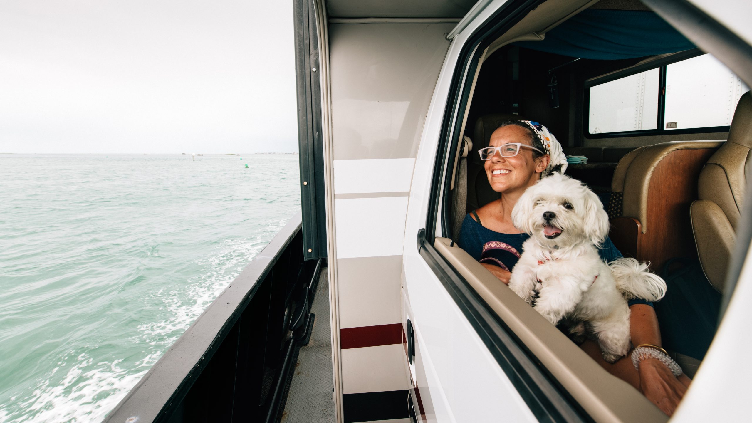 When Your Dog Bites Someone on a Ferry