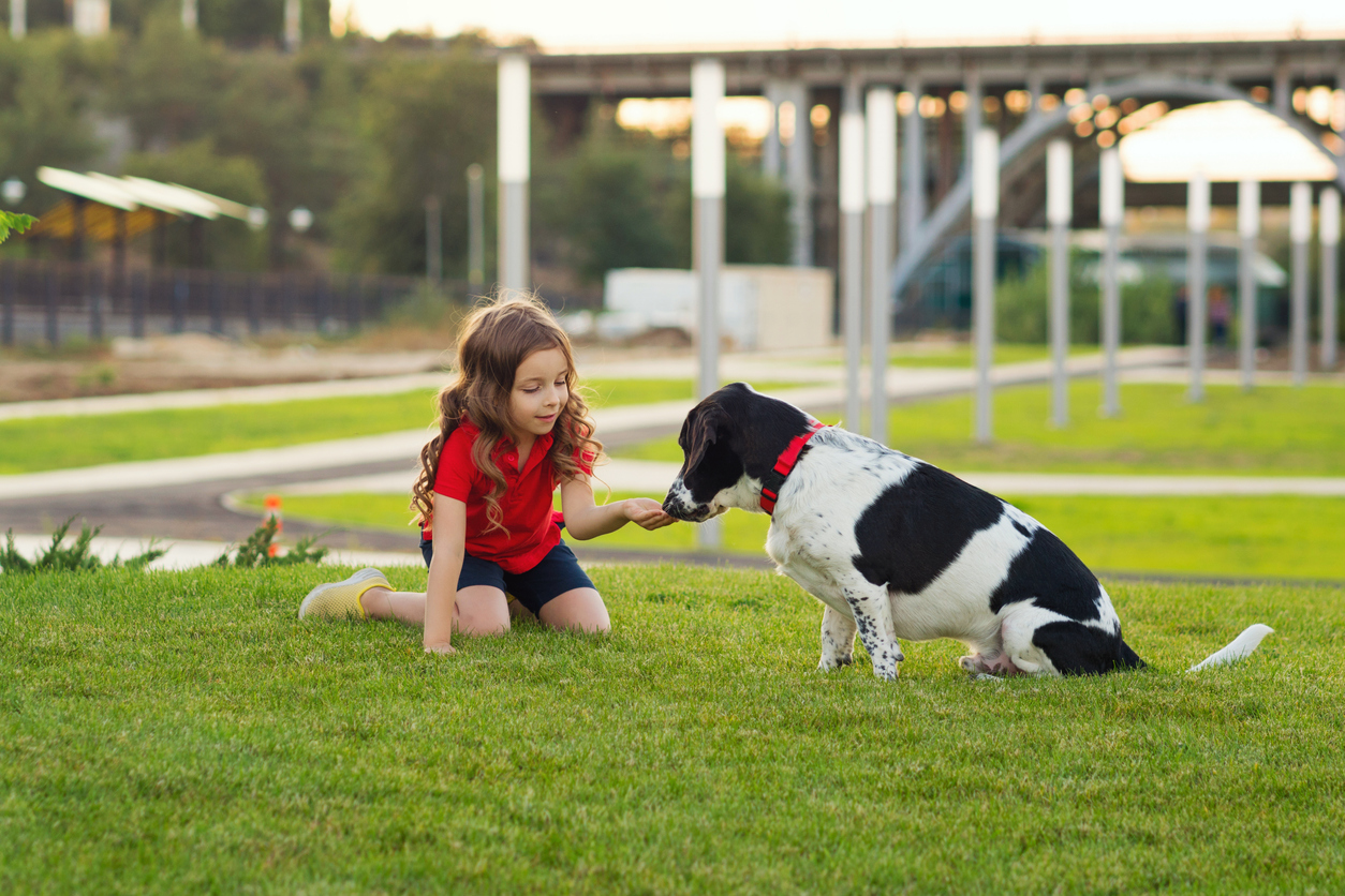 When Your Dog Bites Kids at School