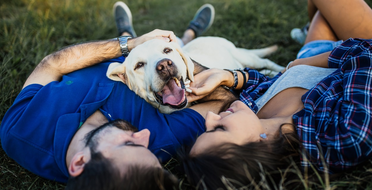 Does Pet Insurance Cover Dog Bites?