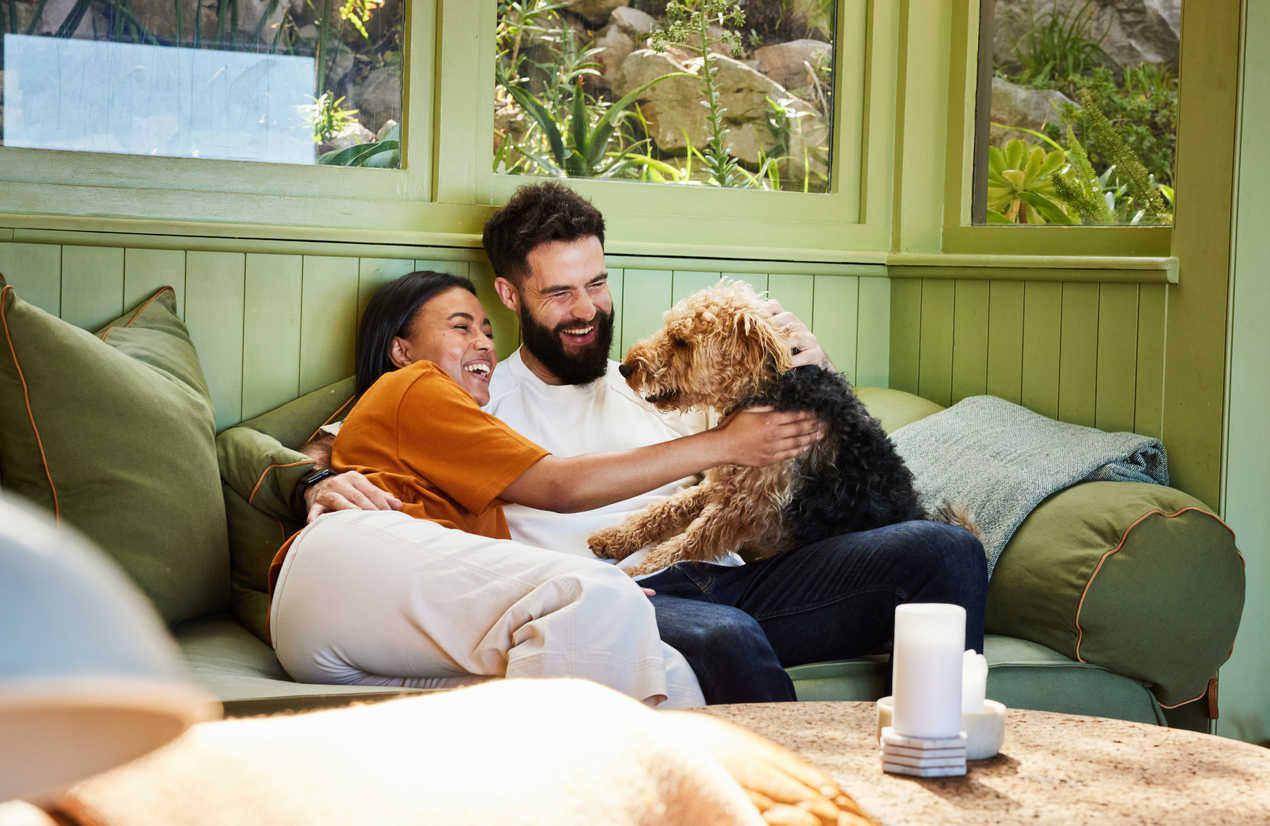 5 Tips for Creating a Dog-Friendly Home