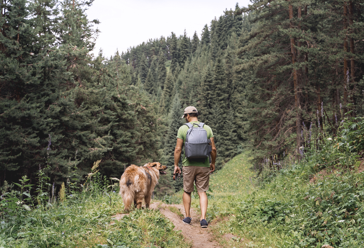 Preparing Your Dog for Outdoor Activities Safely