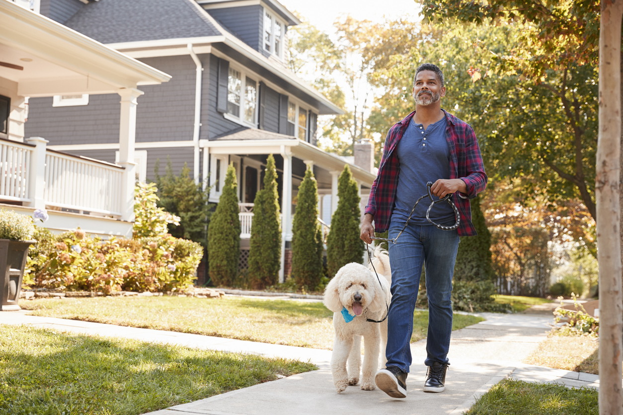 Homeowners Insurance and Dog Liability: What You Need