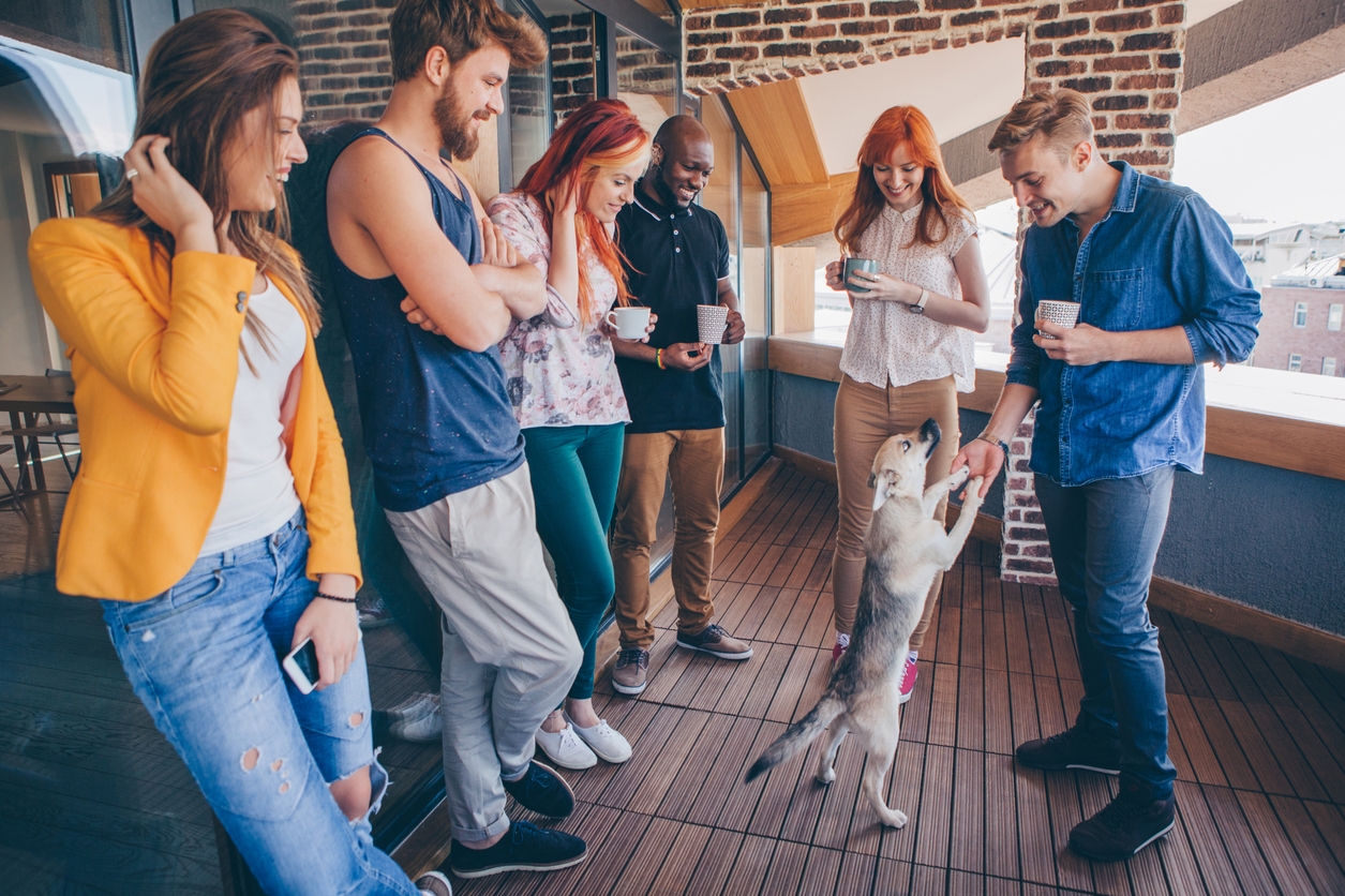 Renters Insurance: Protecting Your Dog and Your Guests