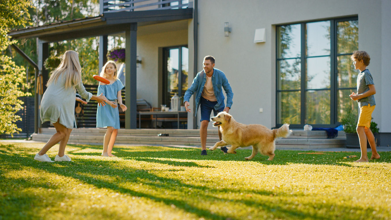 dog liability insurance