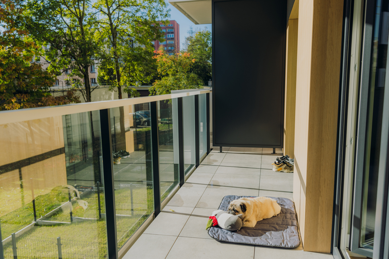 dog liability insurance for renters