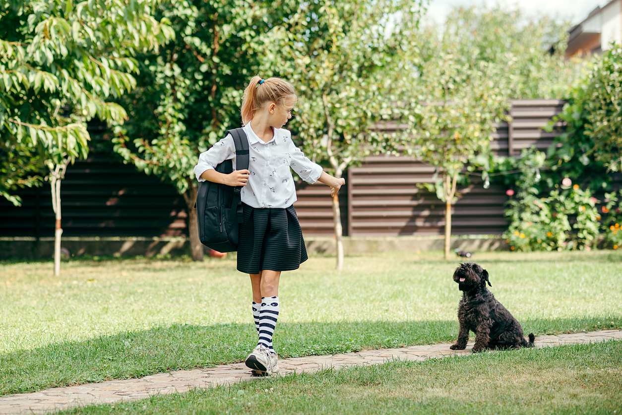 Back-To-School Season: Dog Liability for Families
