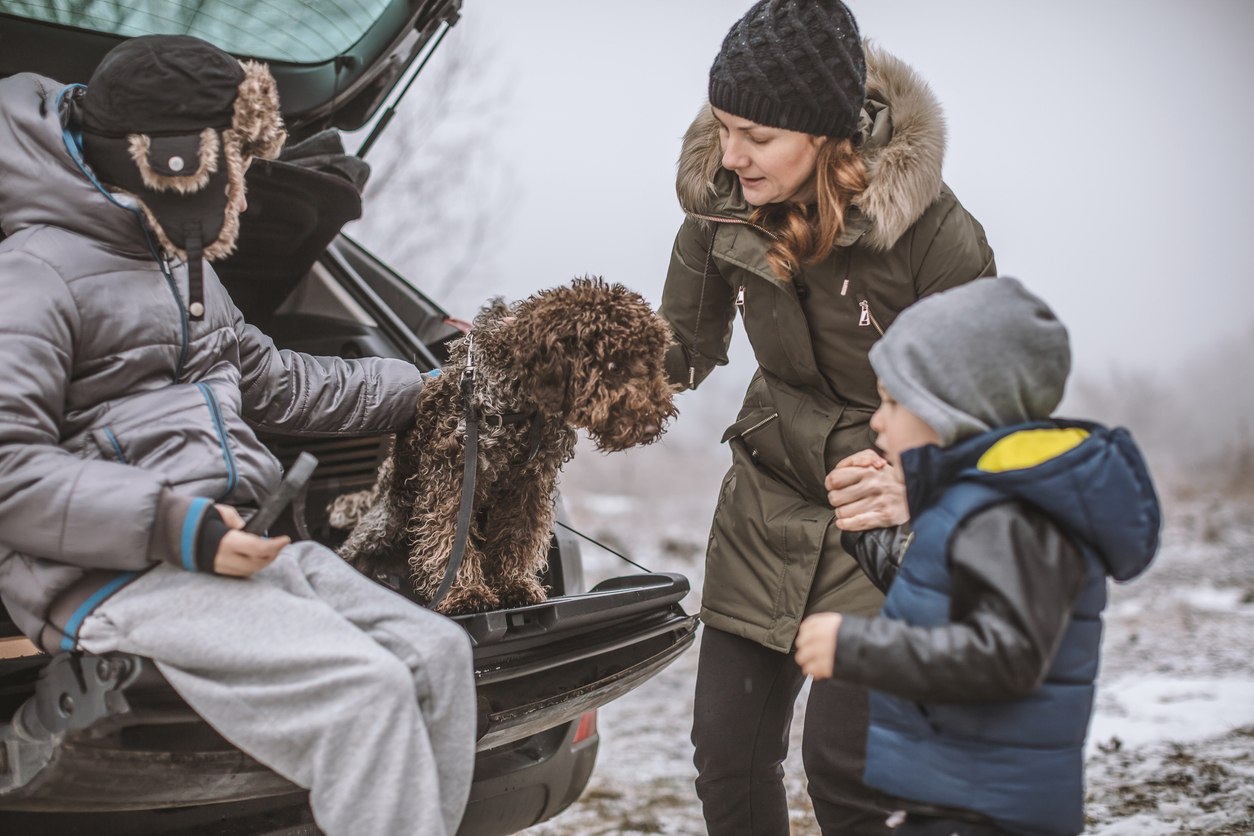 Preparing for Holiday Travel: What Dog Owners Need To Know About Liability Risks