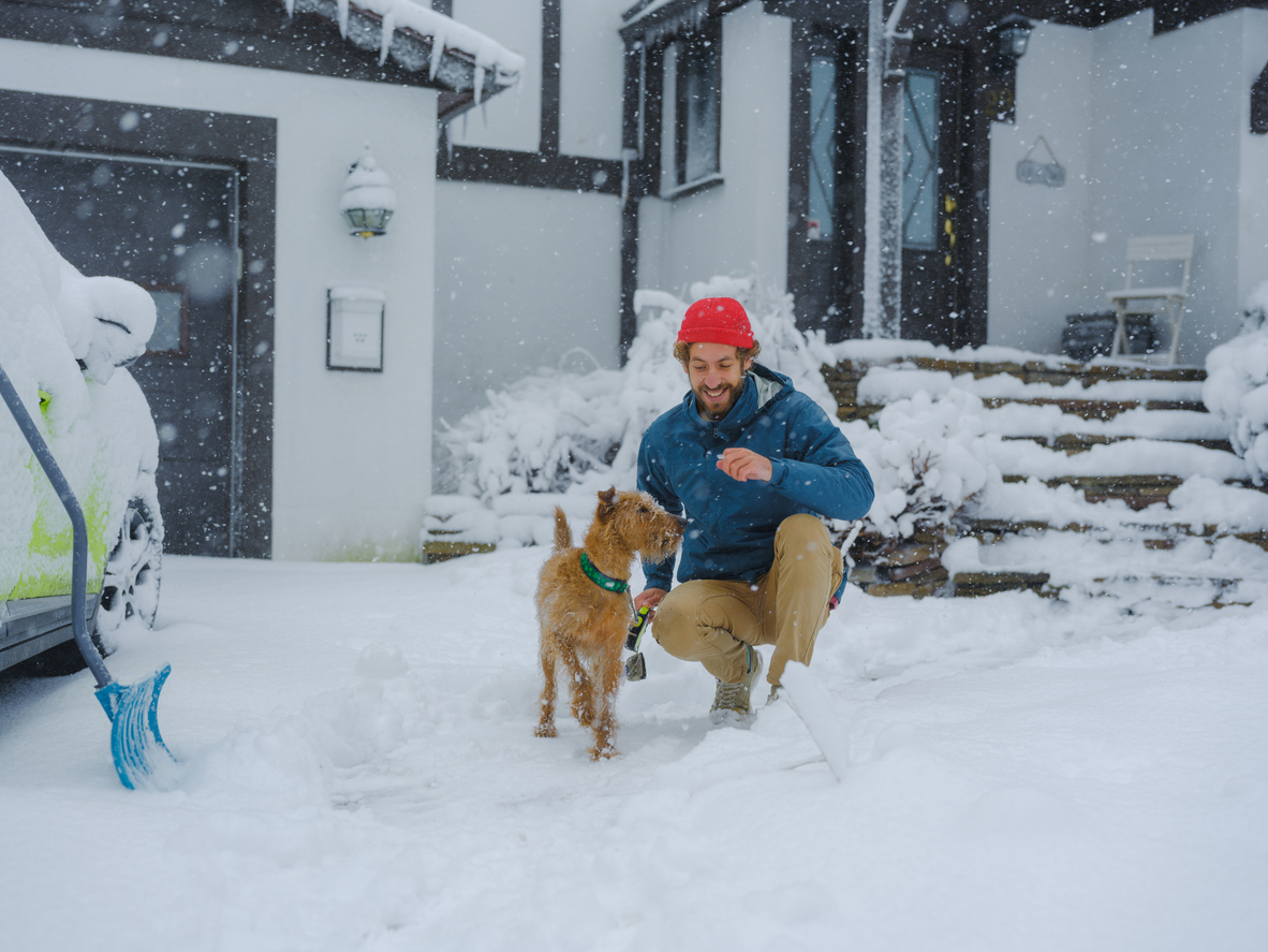 Why Winter Brings More Dog Bite Claims — And How To Lower Risk